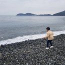 흑진주목장 이미지