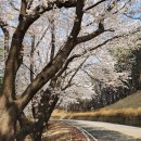 내곡동437 이미지