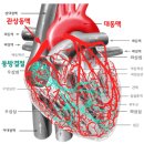 저혈압의 원인과 치료 방법 이미지