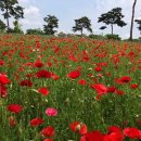 강변. 조각공원길 이미지