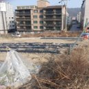 서구-01-05 이미지