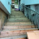 도로시지켜줄개 이미지