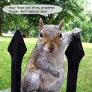 THE STAY 여기 이미지