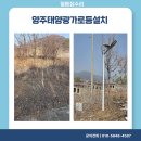 양주태양광가로등설치 꿀팁 에너지절약비법공개 덕계동 일등집수리 현장