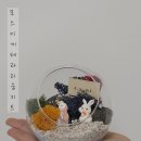 공감각 | 공감각 모스 이끼 테라리움 키트 제작 후기💝