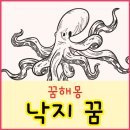 낙지의꿈 이미지