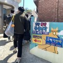 울엄마민박 | 이수도 1박3식 갈매기민박 후기 가격 숙소 예약방법 총정리