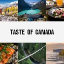 (주)킹스라운지 이미지