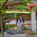 후쿠오카 유후인 버스투어 당일온천 가능한 여행한그릇 추천