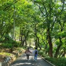 화원동산 전망대 이미지