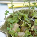 광주무돌교회 이미지