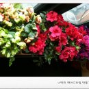 서정미헤어펌 | 하오니코 클리닉 긴머리 매직& 블로그를 보시고 방문해주신 고객님 후기〔성신여대 미용실〕한스헤어