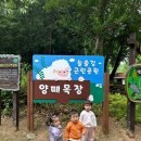 하이얀목장 이미지