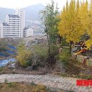 종로구청 이미지