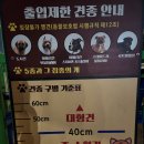 목감천 | 광명 목감천 목감교 강아지 운동장, 반려견 놀이터 위치, 운영시간, 방문후기!