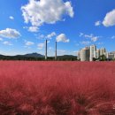 하늘농원1호 이미지