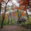 성황림마을 이미지