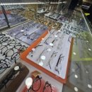 전남대안경원 이미지