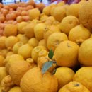 하귀농업협동조합 동부지점 이미지