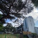 드린겐 애견테마파크 이미지