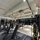 GM FITNESS 이미지