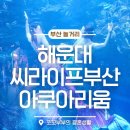 주식회사신나는체험 | 아이와 가볼만한곳 부산아쿠아리움 할인 완벽 정리! 여행특공대 티켓 2만원 균일가 예매 팁