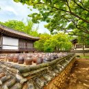 용인목장 이미지