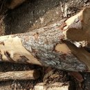 박달농장 이미지