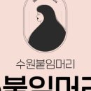 아름다운머리로