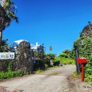 제주 자르뎅 이미지