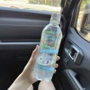 스파클링 라이프 | 맛있는 제로 탄산수 추천! 달심 클렌즈 스파클링워터 후기