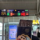 대창카프라자 | 초여름 후쿠오카 2박 3일 자매여행 1일차｜텐진 쇼핑과 모모치해변공원, 후쿠오카타워 야경 즐기기