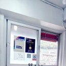 정혜칼국수 네이버블로그