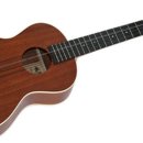 우쿠렐레이야기 이미지