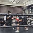 용인대SM복싱클럽 길동점 이미지