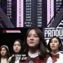 젤리피쉬 이미지