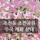 국보약국 네이버블로그
