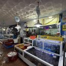 산삼수산 | 남해읍 횟집 삼촌수산 포장 및 매장식사 가능 싱싱탱글 활어회