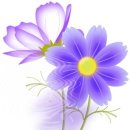 세권 이미지