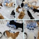 (주)아이어스 이미지