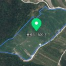 용곡2리 이미지