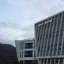 디자인 먹닮 이미지