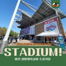 화천생활체육공원 | 화천] WK리그의 디펜딩 챔피언. 화천 KSPO의 홈 경기장. 화천호가 만들어내는 아름다운 경기장. 화천...