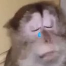 정읍휴게소(하) | 세상은 전부 가짜