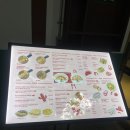 낙원타코안산중앙점 | [안산]중앙동 인증된 타코맛집 ‘낙원타코’ 내돈내산 후기