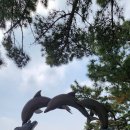 공곶이해변 Daum카페