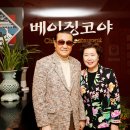 베이징코야주 이미지
