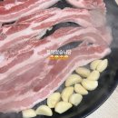 중기검사 세차장 | [3월 1탄] 17주, 18주 / 입터진 임산부의 일상