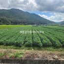 황전면 행정복지센터 이미지