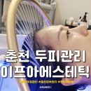 이프아 에스테틱